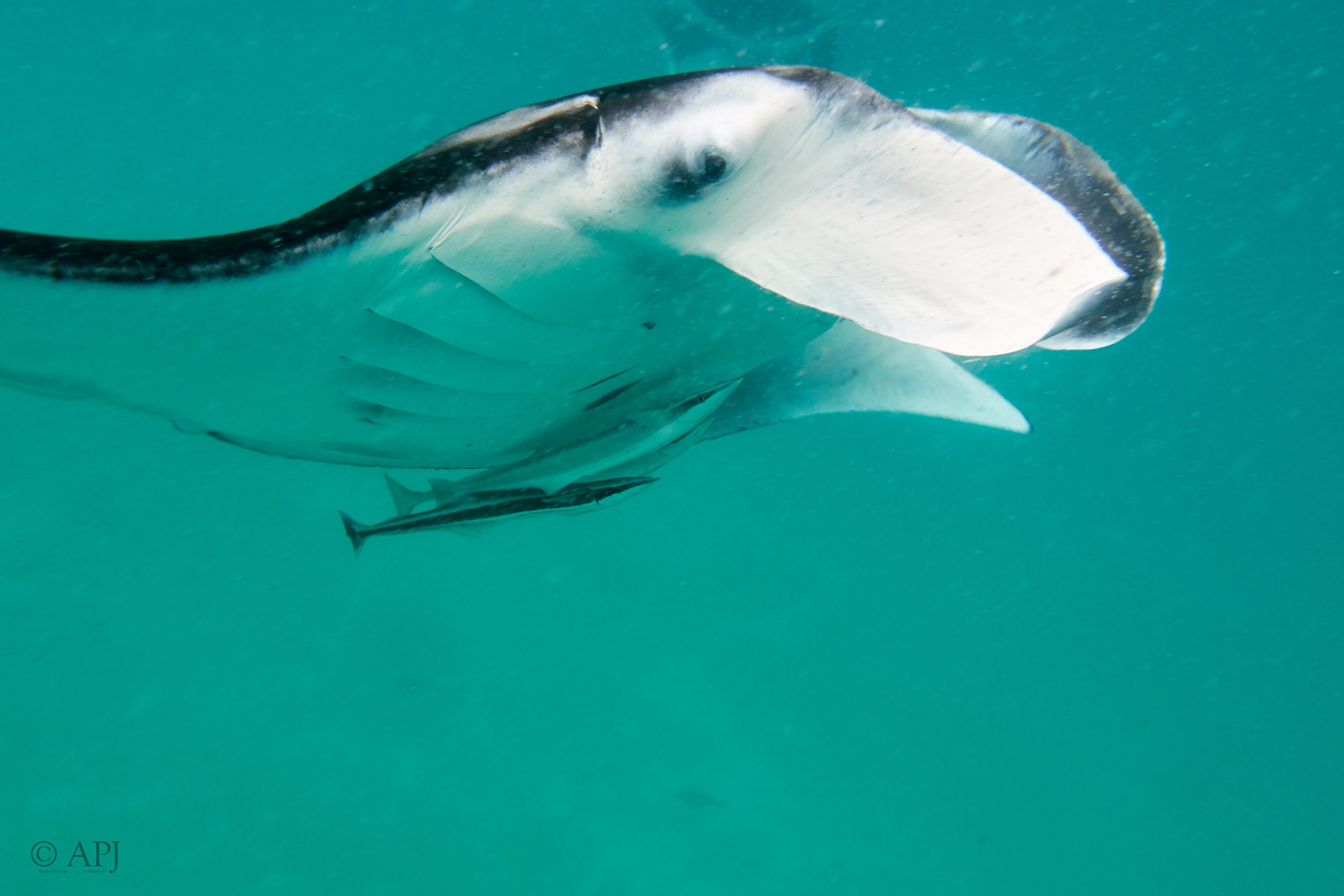 003113 17 08 17  Canon PowerShot G7 X Mark II   Malediven2017